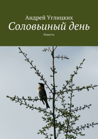 Обложка книги «Соловьиный день. Повесть»