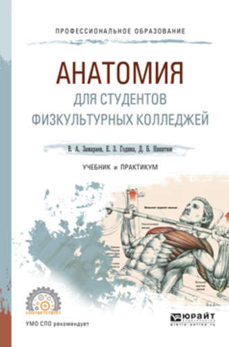 Виктор Алексеевич Замараев. Анатомия для студентов физкультурных колледжей. Учебник и практикум для СПО