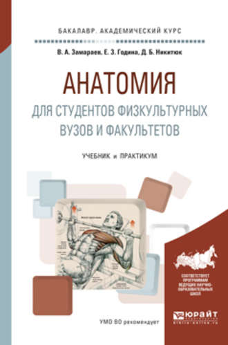 Виктор Алексеевич Замараев. Анатомия для студентов физкультурных вузов и факультетов. Учебник и практикум для академического бакалавриата