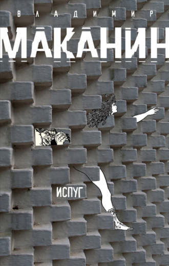 Обложка книги «Испуг»