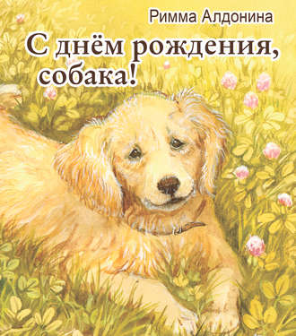 Обложка книги «С днем рождения, собака!»