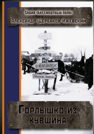 Александр Щербаков-Ижевский. Горлышко из кувшина. Серия «Бессмертный полк»