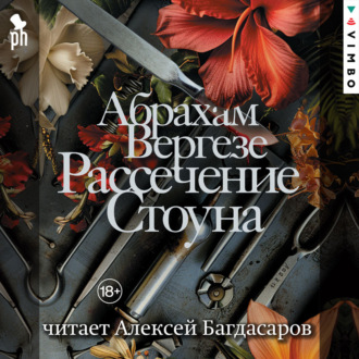 Обложка книги «Рассечение Стоуна»