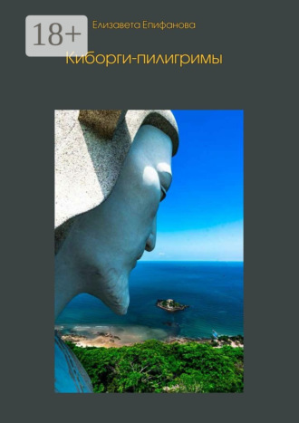 Обложка книги «Киборги-пилигримы»