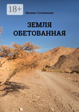 Обложка книги «Земля обетованная»