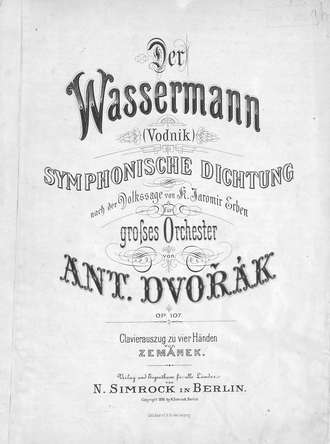 Обложка книги «Der Wassermann»