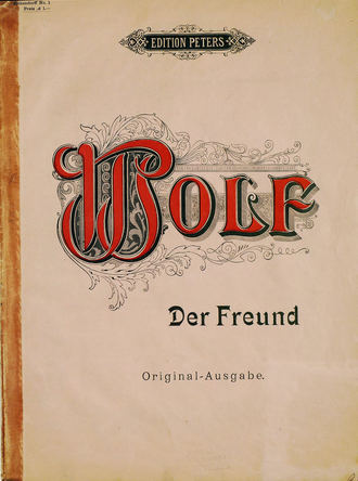 Обложка книги «Der Freund»