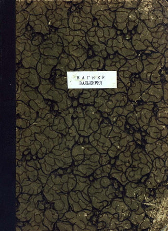 Обложка книги «Валькирия»