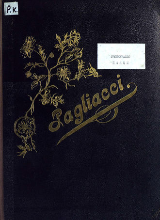 Обложка книги «Паяцы»