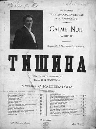 Обложка книги «Тишина»