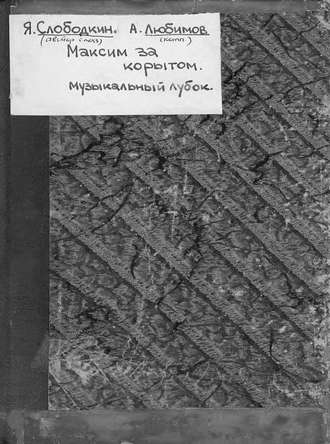 Обложка книги «Максим за корытом»