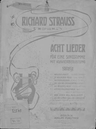 Обложка книги «Das Lied des Steinklopfers»