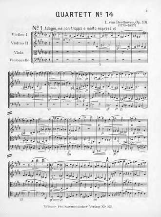 Обложка книги «Streichquartett Cis moll»