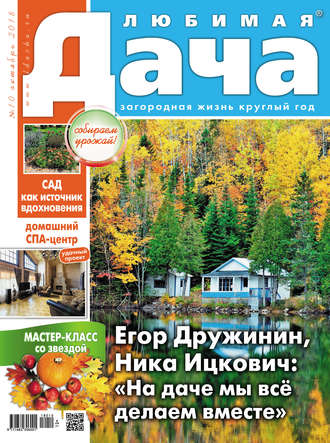 Обложка книги «Любимая дача №10/2018»