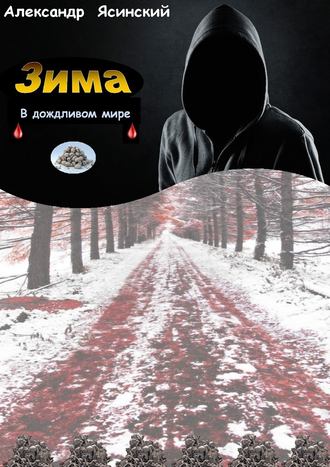 Обложка книги «Зима в Дожливом мире»