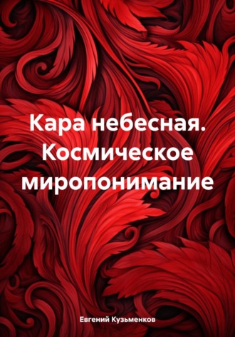 Обложка книги «Кара небесная. Космическое миропонимание»