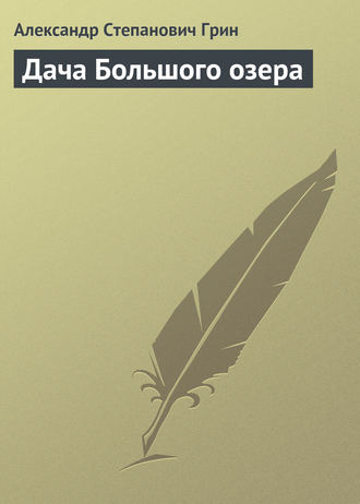 Обложка книги «Дача Большого озера»