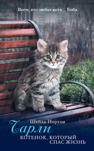 Обложка книги «Чарли. Котенок, который спас жизнь»