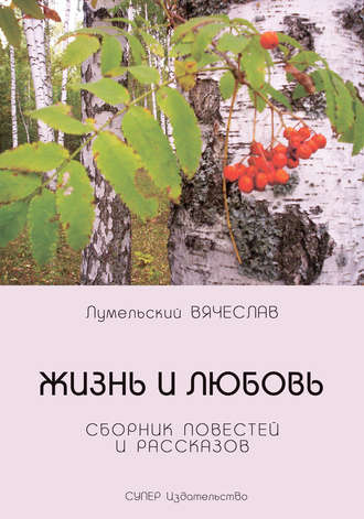 Вячеслав Лумельский. Жизнь и любовь (сборник)