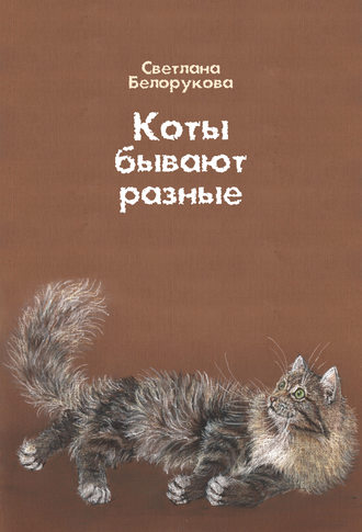 Обложка книги «Коты бывают разные»