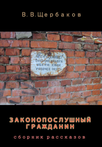 Обложка книги «Законопослушный гражданин»