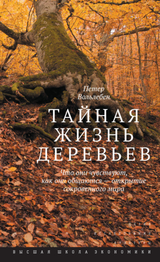 Петер Вольлебен. Тайная жизнь деревьев. Что они чувствуют, как они общаются – открытие сокровенного мира