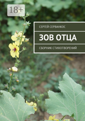 Обложка книги «Зов Отца. Сборник стихотворений»