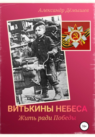 Обложка книги «Витькины небеса. Жить ради Победы»