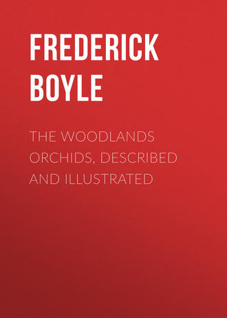 Обложка книги «The Woodlands Orchids, Described and Illustrated»