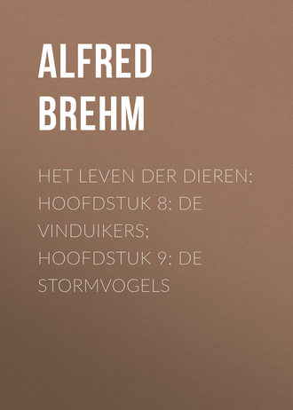 Brehm Alfred Edmund. Het Leven der Dieren: Hoofdstuk 8: De Vinduikers; Hoofdstuk 9: de Stormvogels