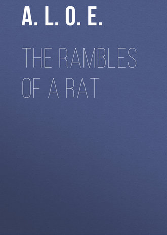 Обложка книги «The Rambles of a Rat»
