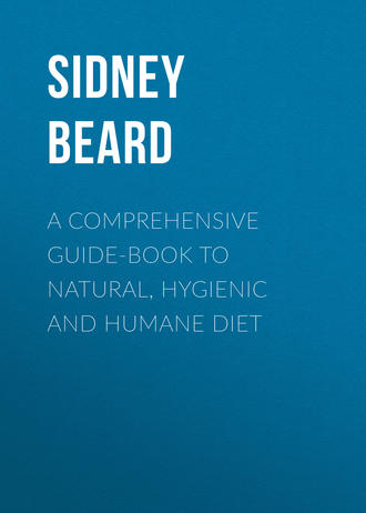 Обложка книги «A Comprehensive Guide-Book to Natural, Hygienic and Humane Diet»