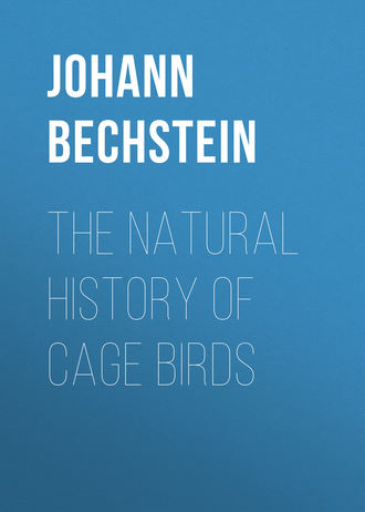Обложка книги «The Natural History of Cage Birds»