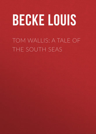Обложка книги «Tom Wallis: A Tale of the South Seas»