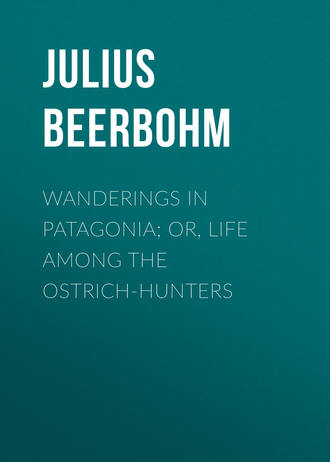 Beerbohm Julius. Wanderings in Patagonia; Or, Life Among the Ostrich-Hunters