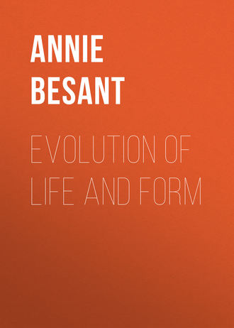 Обложка книги «Evolution of Life and Form»