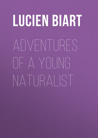 Обложка книги «Adventures of a Young Naturalist»