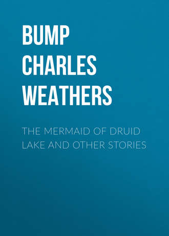 Обложка книги «The Mermaid of Druid Lake and Other Stories»