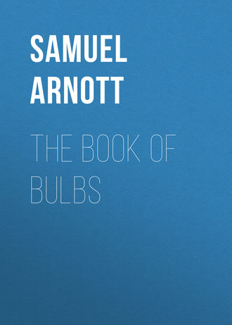 Обложка книги «The Book of Bulbs»