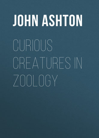 Обложка книги «Curious Creatures in Zoology»