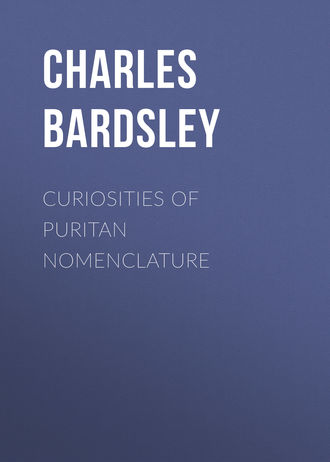 Обложка книги «Curiosities of Puritan Nomenclature»