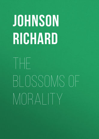 Обложка книги «The Blossoms of Morality»