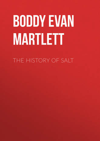 Обложка книги «The History of Salt»