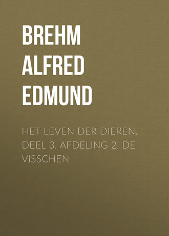 Обложка книги «Het Leven der Dieren. Deel 3. Afdeling 2. De Visschen»
