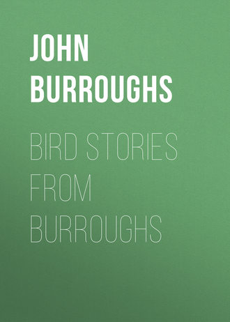 Обложка книги «Bird Stories from Burroughs»