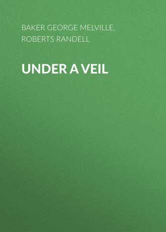 Обложка книги «Under a Veil»