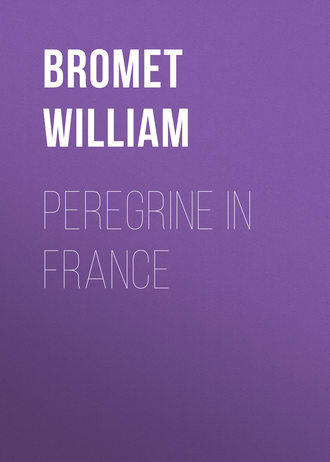 Обложка книги «Peregrine in France»