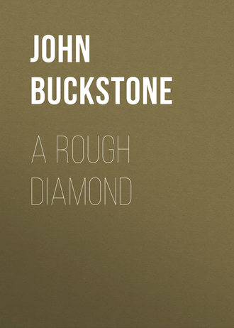 Обложка книги «A Rough Diamond»