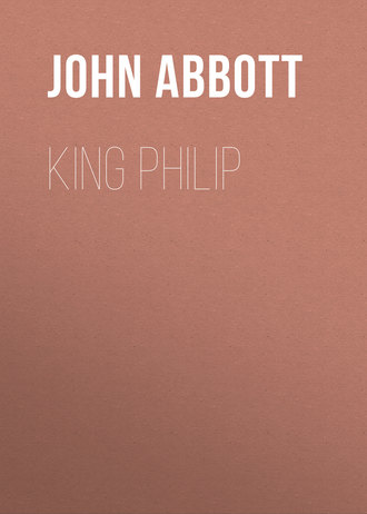 Обложка книги «King Philip»