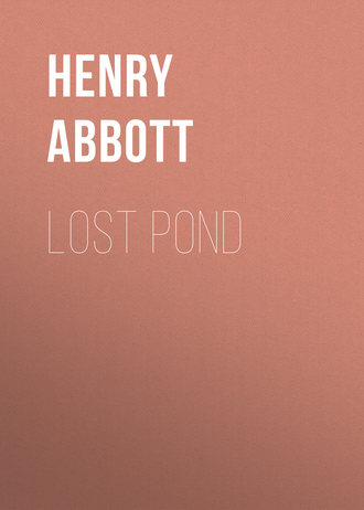 Обложка книги «Lost Pond»